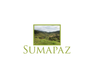 Logo Design by DreamzINSIDE for this project | Design: #20542470