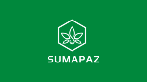 Logo-Design von BrandSigma für dieses Projekt | Design #20544374