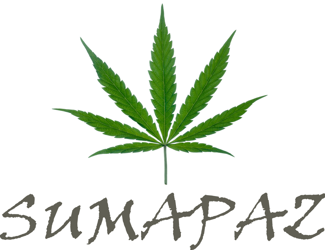 Logo Design by Exceed Devs for this project | Design #20573190