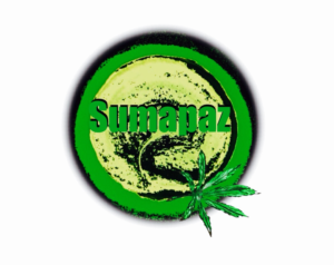 Logo Design by Olskool151