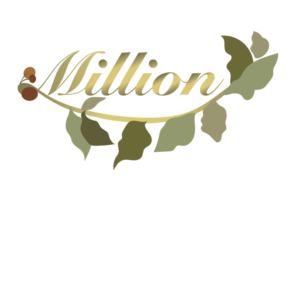 Logo Design by XiwenC