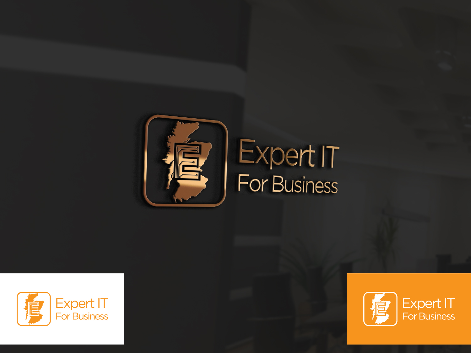 Logo-Design von BEEZU für Business Image Services Ltd | Design #20547855