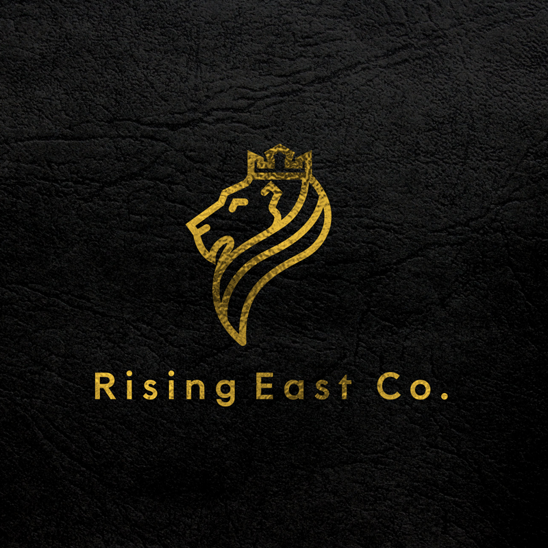 Logo Design by MAHNOOR for Dads Overcoming Divorce | Design #20591046