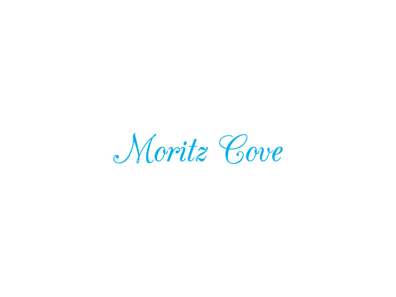 Design de Logo par axel xhone 2 pour ce projet | Design #20567124