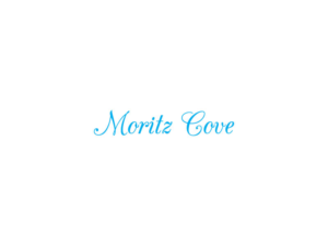 Design de Logo par axel xhone 2 pour ce projet | Design : #20567124