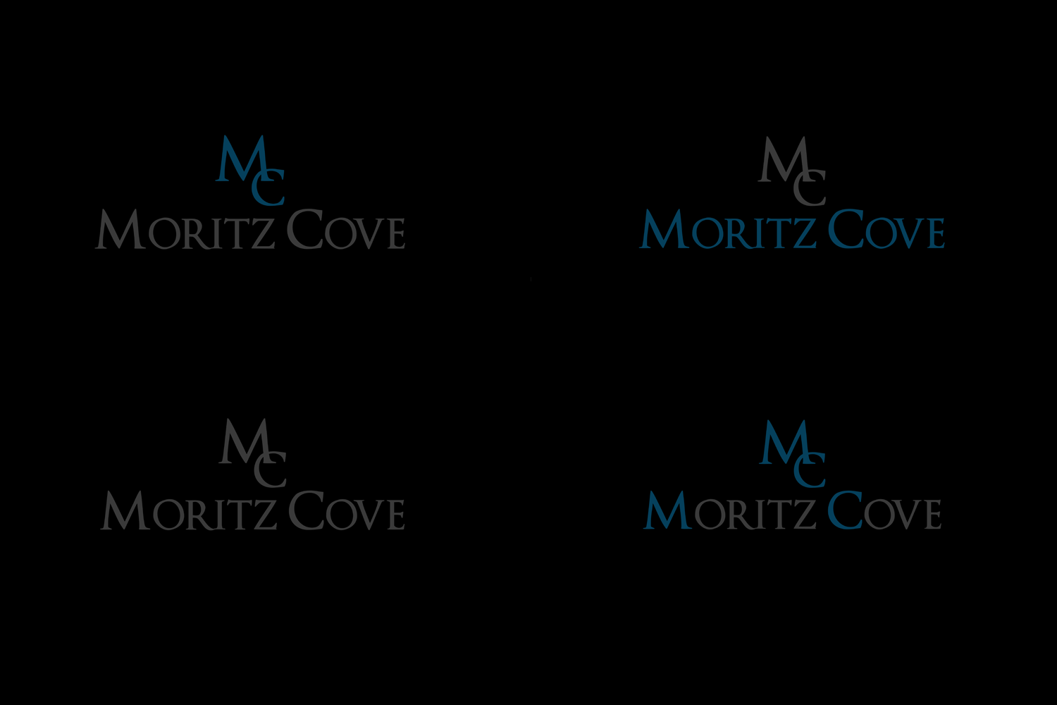 Logo Design by bsn_jet for this project | Design #20664230