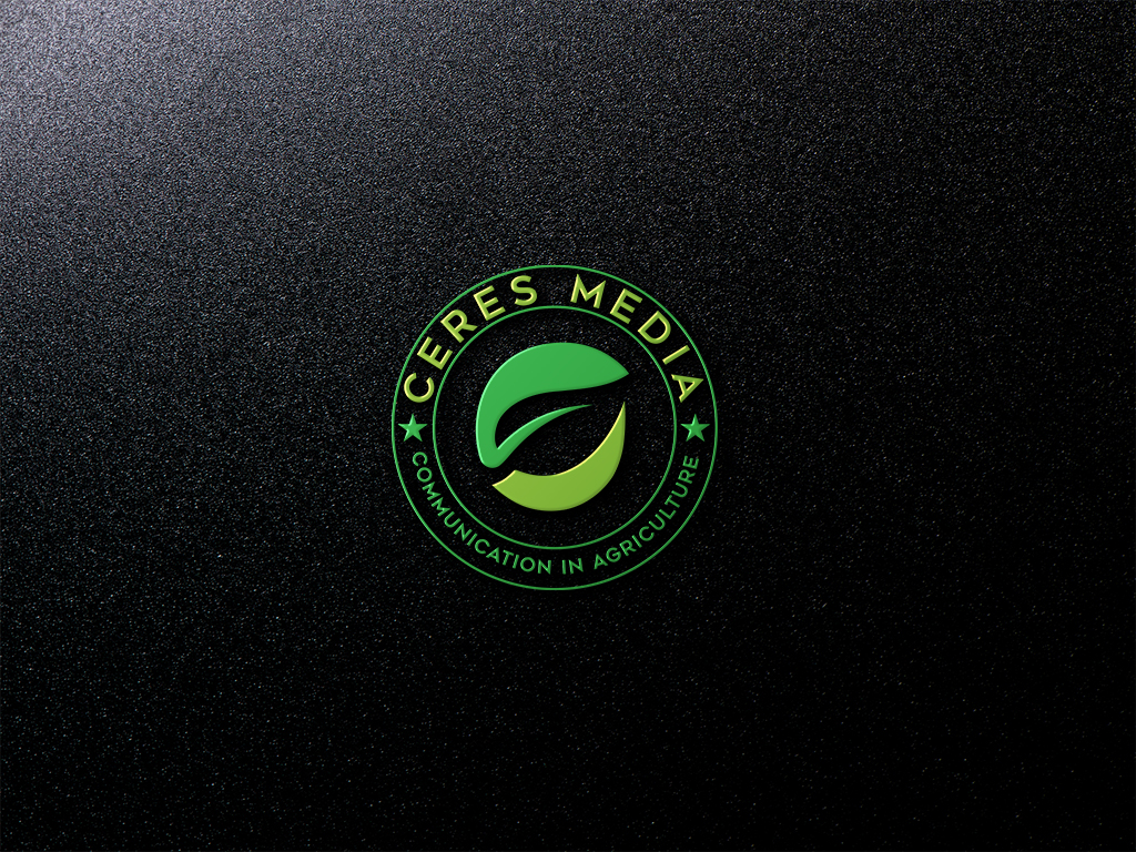 Logo Design by Design Solving for this project | Design #20550683
