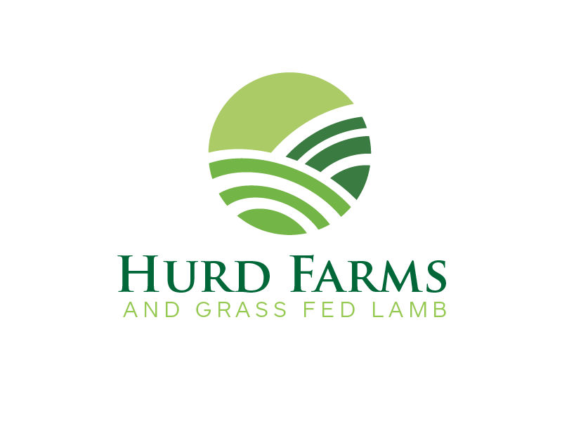 Logo Design by carabuenaeffect for this project | Design #20570129