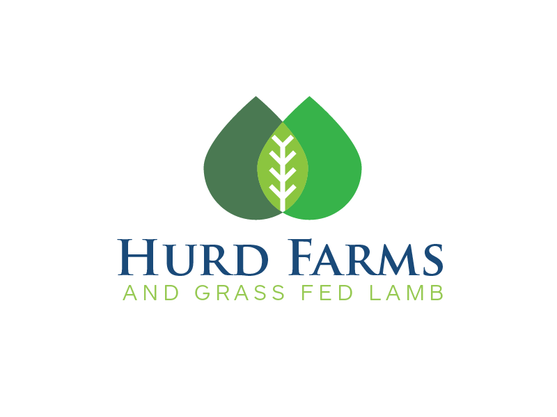 Logo-Design von carabuenaeffect für dieses Projekt | Design #20570133