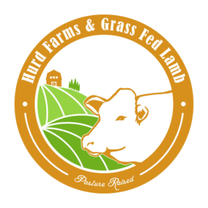 Logo Design by be.enha