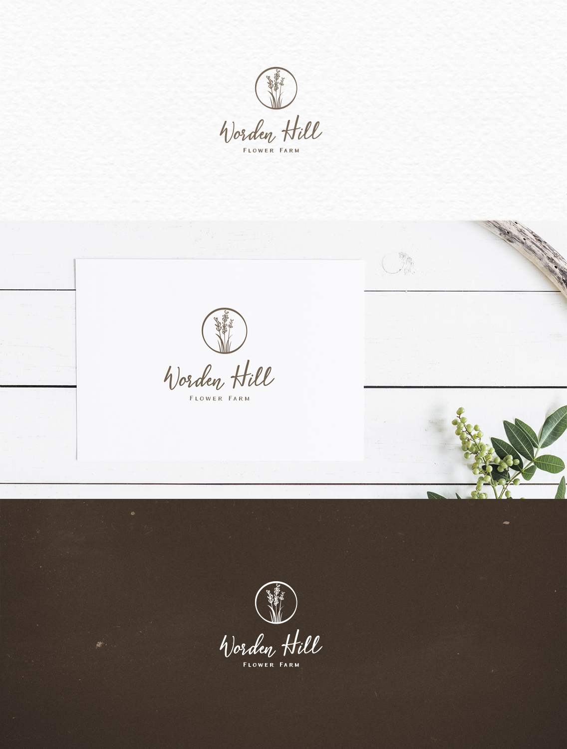 Logo Design by ne_padamo for this project | Design #20568039