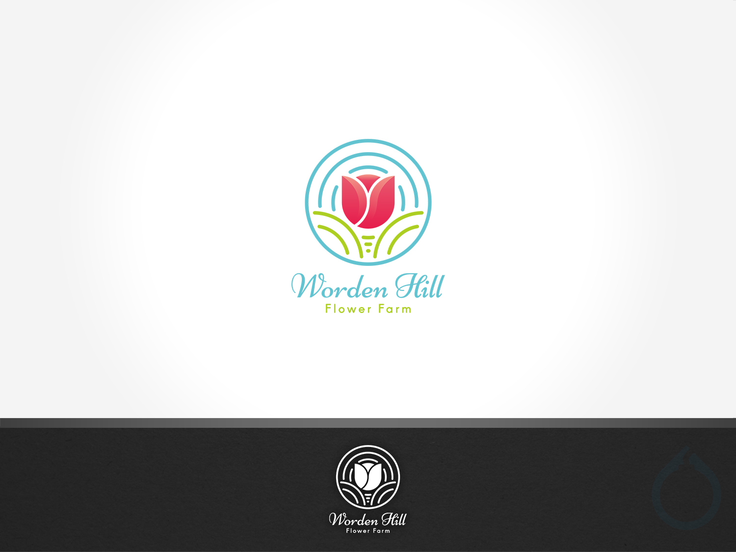 Logo-Design von aquabomb26 für dieses Projekt | Design #20555020