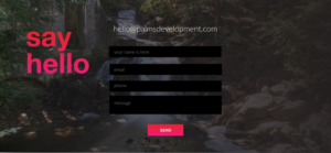 Web Design by ilovedesign1 for this project | Design: #20607922