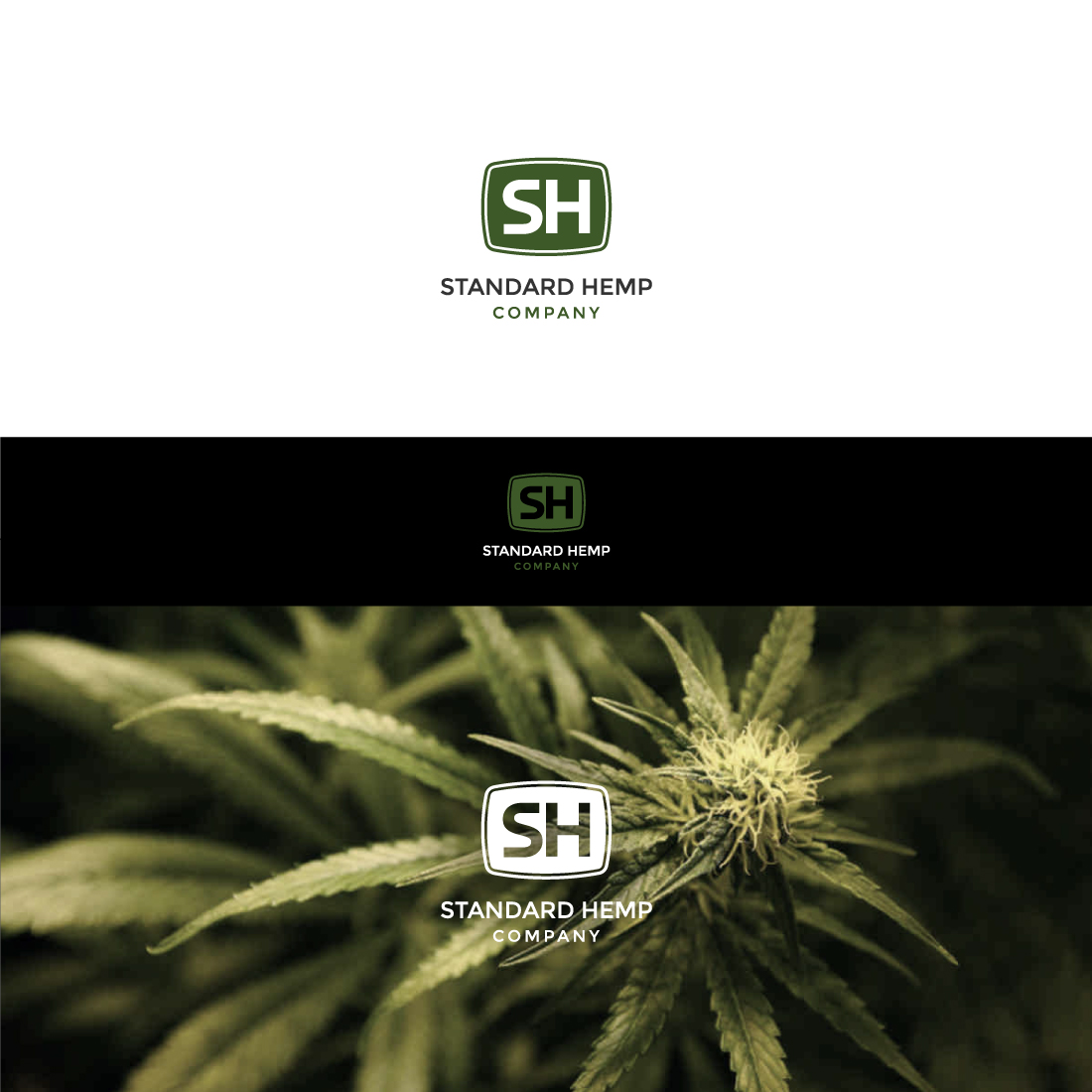 Logo Design by aleeshan for this project | Design #20564978