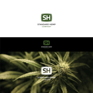 Design de Logo par aleeshan pour ce projet | Design : #20564978