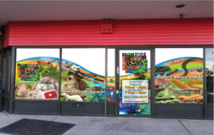 Diseño Gráfico por dwross para Nature Box Pet Emporium Company | Diseño: #20601377