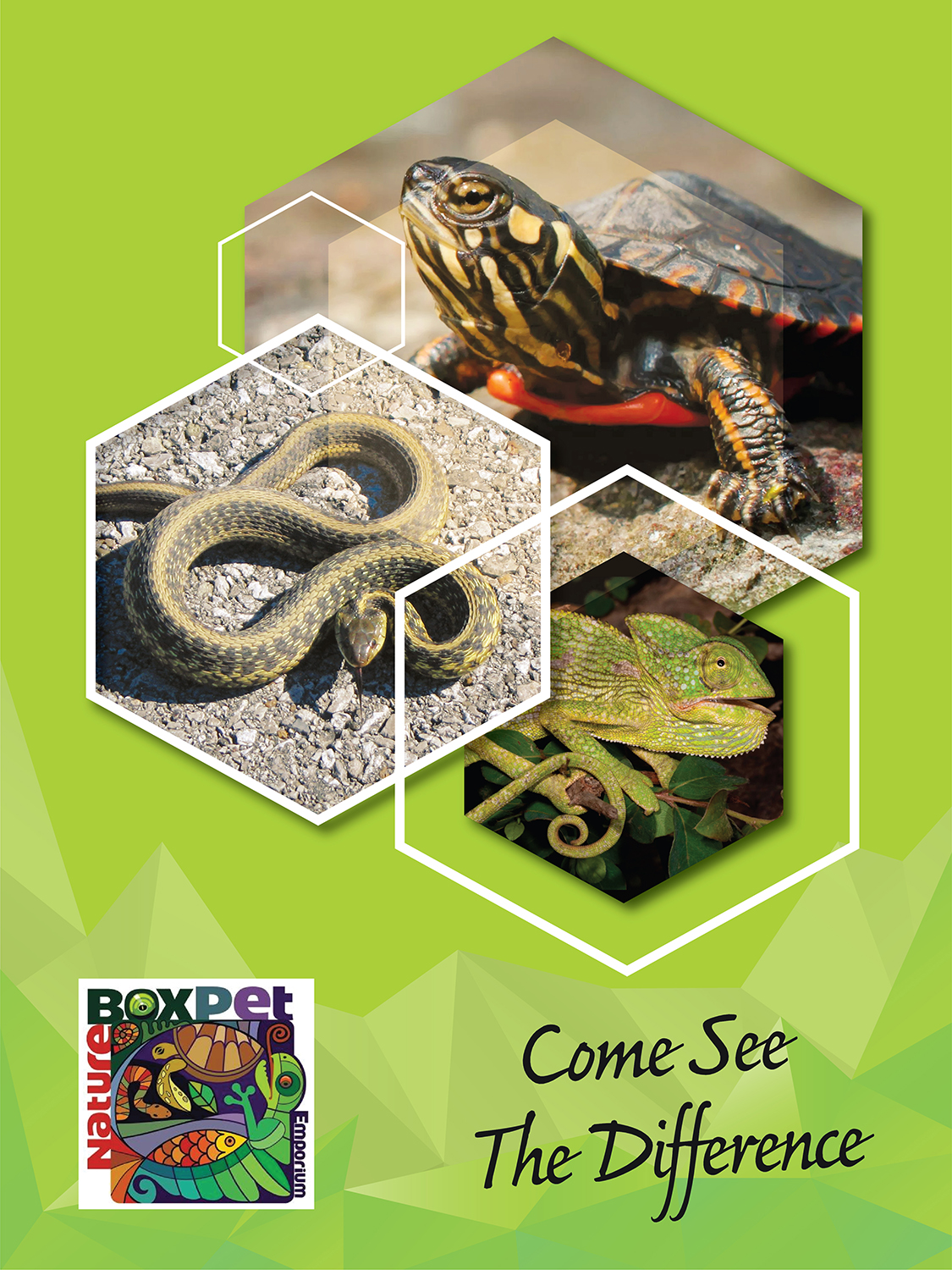 Graphic Design by Deziners Zone for Nature Box Pet Emporium Company | Design #20559921