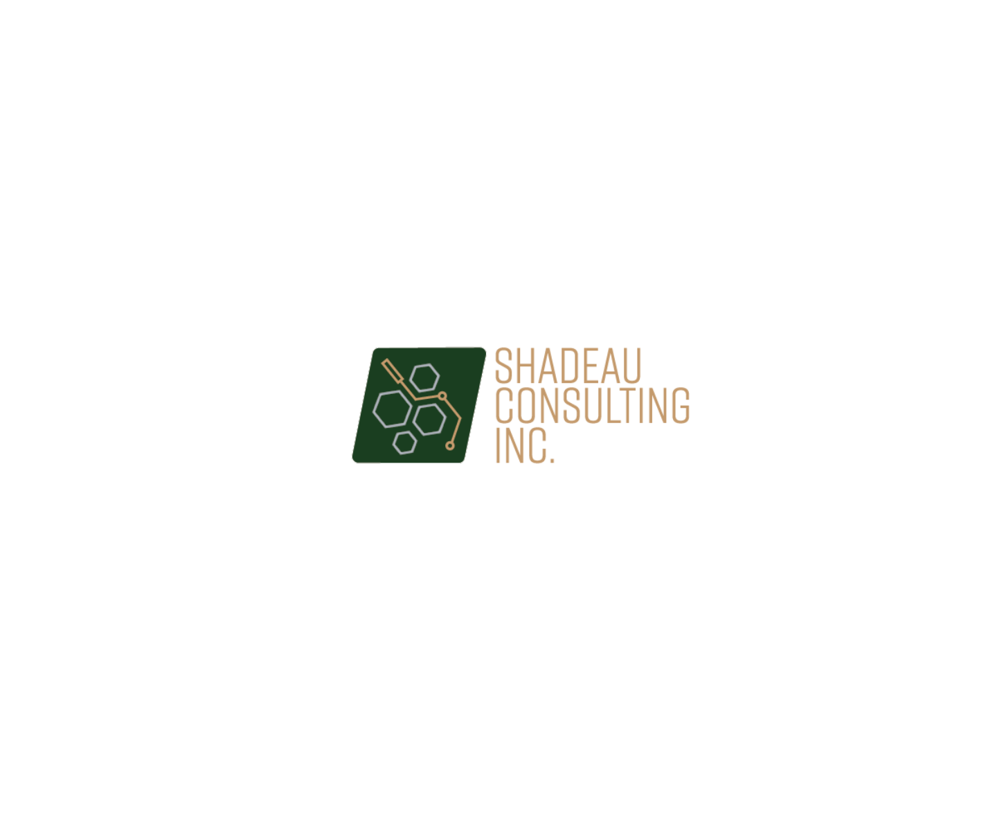Design de Logo par sabincon pour Shadeau Consulting Inc. | Design #20594695