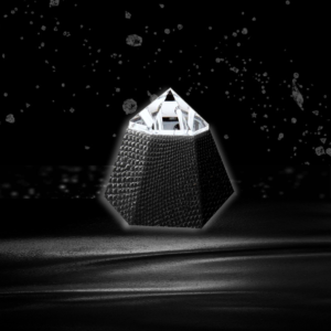3D printed embellishments for fashion industry | Diseño 3D por kolevvp