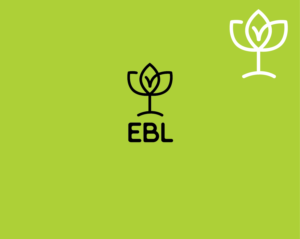 Logo Design by Ezgi Kilavuz for Environmental blasting ltd | Design: #20579951