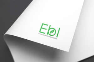 Logo Design by design big