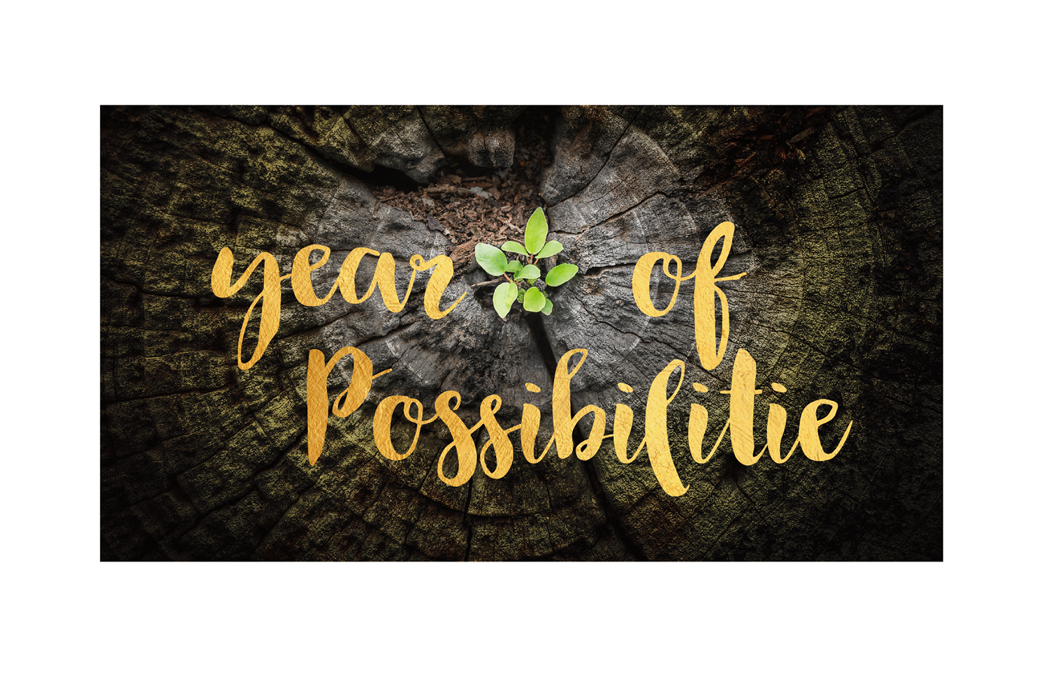 Graphic Design by Pinky  for this project | Design #20570065