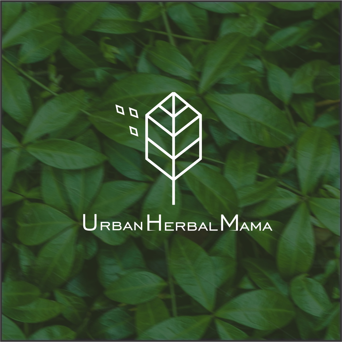 Logo Design by Simpleson for this project | Design #20594329