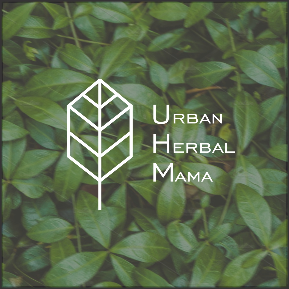Logo Design by Simpleson for this project | Design #20608518