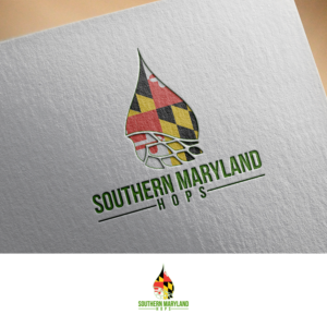 Logo Design by DesignDUO for this project | Design: #20609140