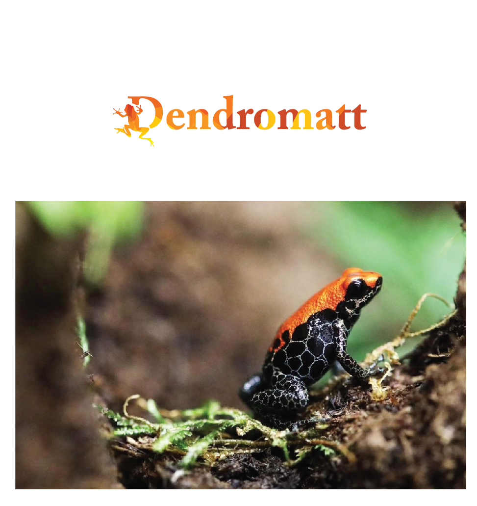 Logo Design by 4+Creative for this project | Design #20602774