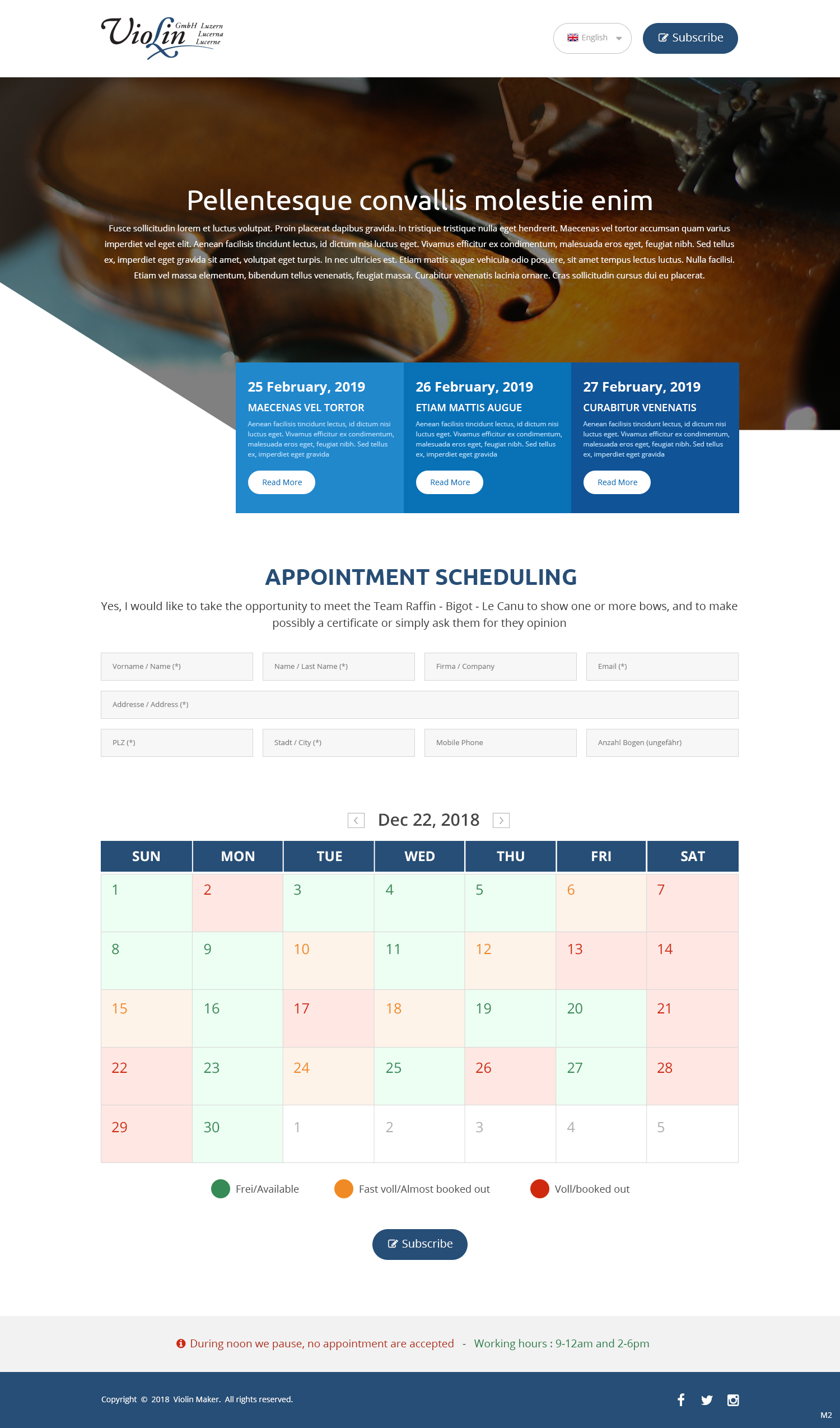 Wordpress Design by pb for Lucerne Violins GmbH | Design #20600074