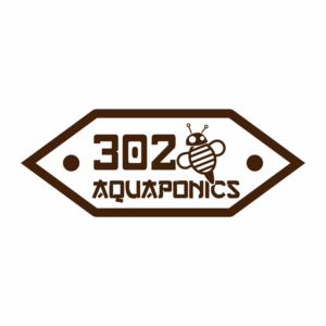 Logo Design by QuyDesign 2