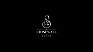 Logo Design by BASSEM AMER for this project | Design: #20642988