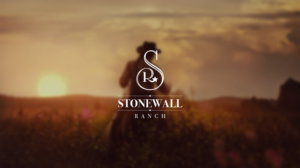 Logo Design by BASSEM AMER for this project | Design: #20642990