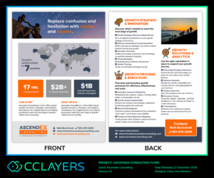 I would like to update my one-page service sheet to provide a more professional/polished look and... | Diseño de Flyer por Claireative