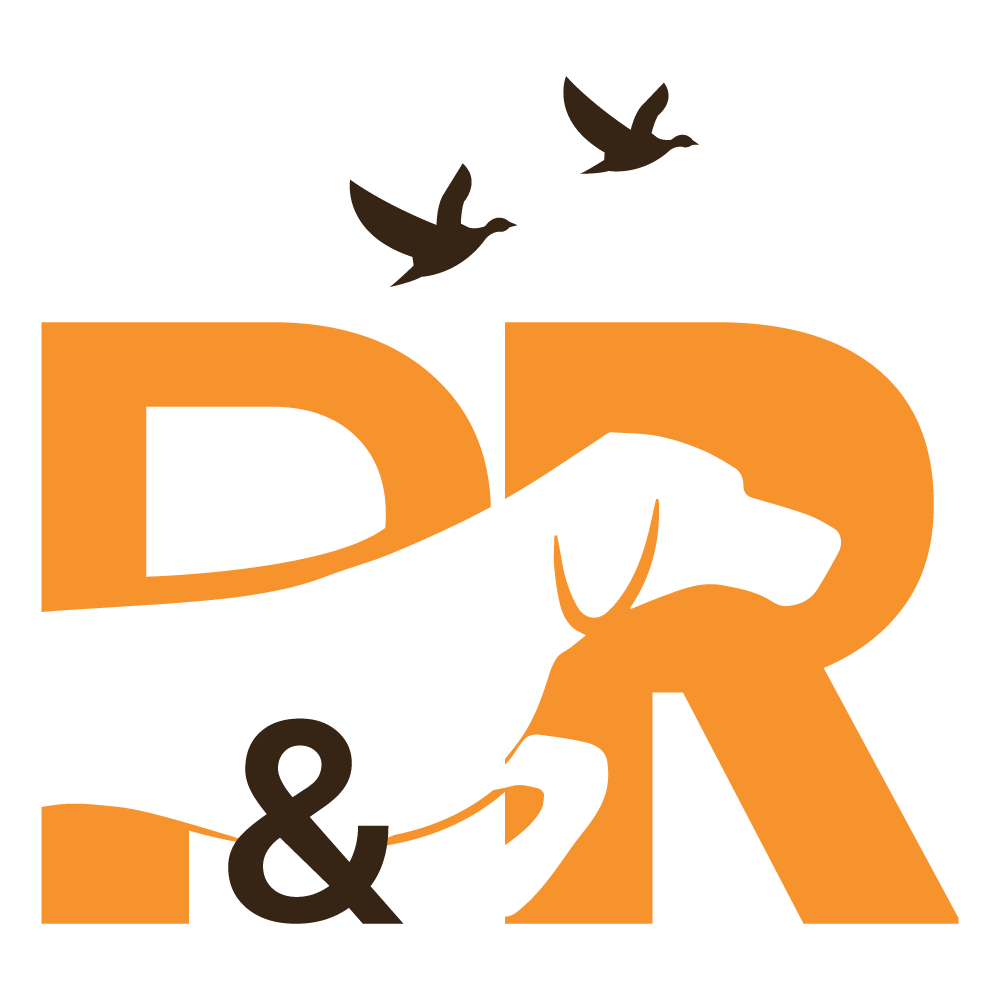 Logo Design by krunal soni for this project | Design #20627135