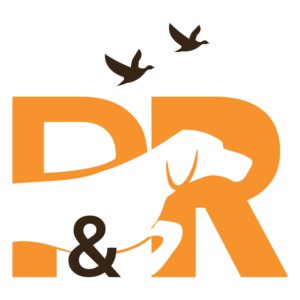 Logo Design by krunal soni