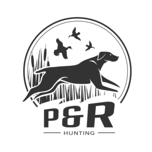 Logo Design by tmbstudio