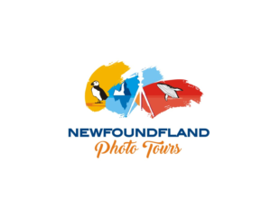 Logo Design by Falguni