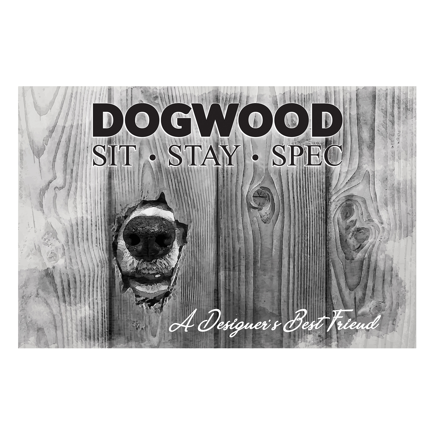 Diseño de Empaque por Noubissie KAMGA para este proyecto | Diseño #20666034