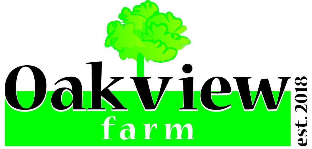 Logo Design by Varsha K for this project | Design #20641573
