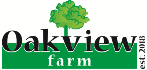 Logo Design by Varsha K