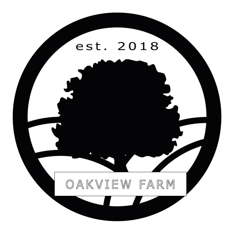Logo Design by abykuza for this project | Design #20652299