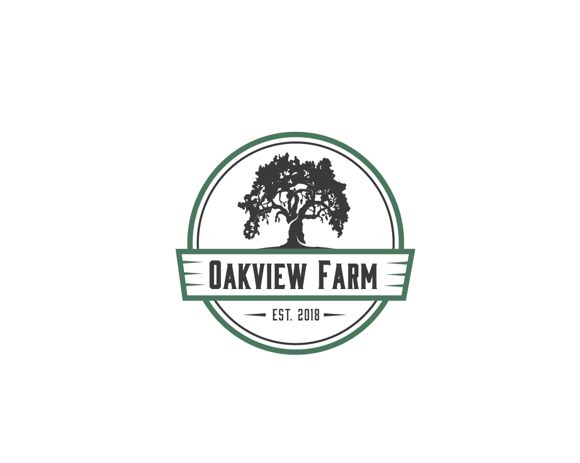 Logo Design by jose_luiz for this project | Design #20664782