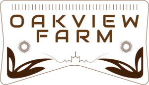 Logo Design by Sanaullah Siyal