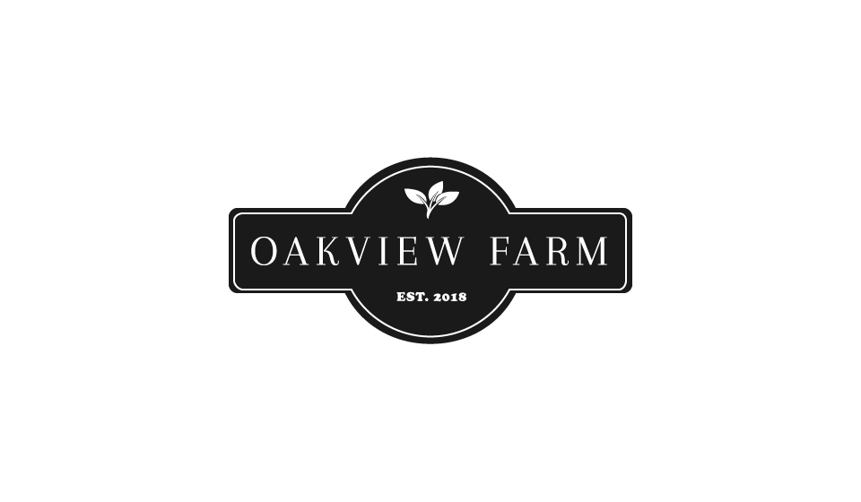 Logo Design by Creativity Master for this project | Design #20639432