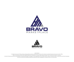Logo Design by Flaming_Designs for Bravo Team LLC | Design: #20646795