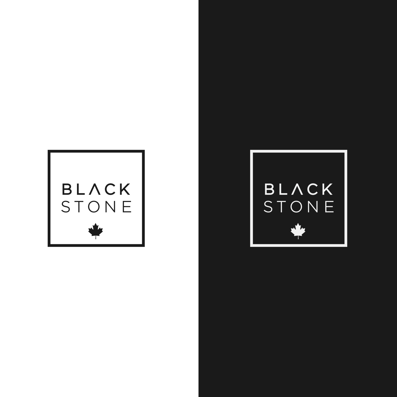 Logo Design by Lesia_Olesia for Blackstone Group Canada Inc. | Design #20669642