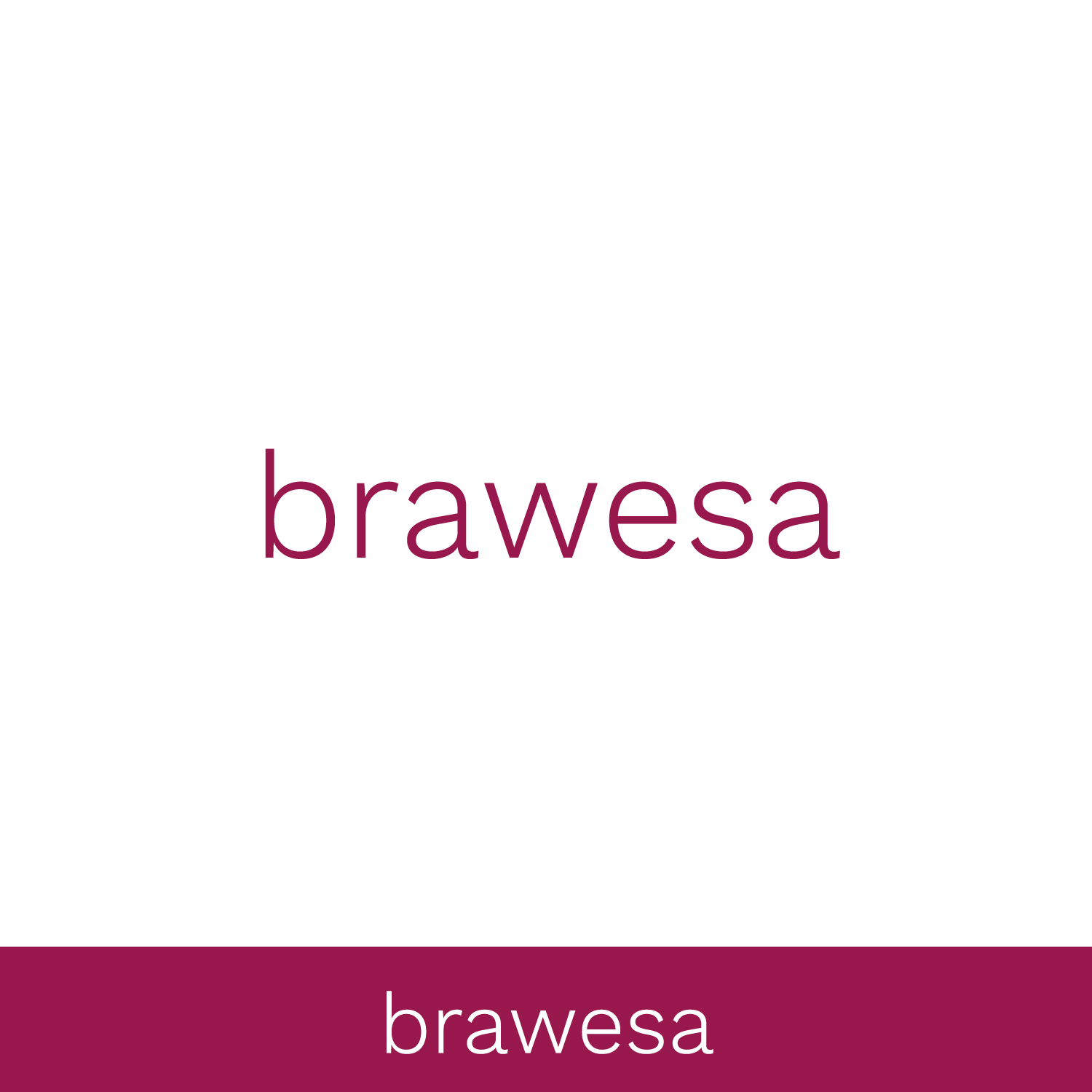 Diseño de Logo por Ellie Afonso para BRAWESA Treuhand AG | Diseño #20659434