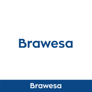 Diseño de Logo por Ellie Afonso para BRAWESA Treuhand AG | Diseño: #20659555